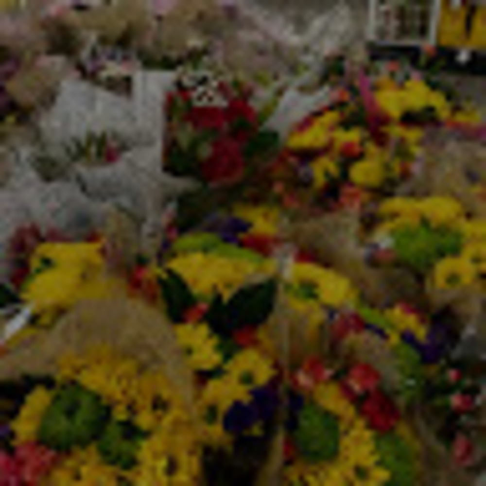 Meet your Posher, Hiba